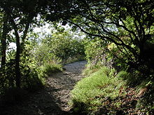 Sentiero escursionistico sulla Pietra di Bismantova