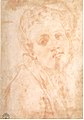 Pontormo - Etude pour l'auto-portrait Capponi Chapelle 002.jpg