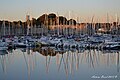 Port de Concarneau en début de soirée