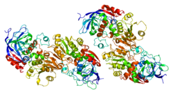 پروتئین ADH7 PDB 1agn.png