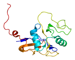 Protein CD44 PDB 1poz.png