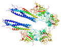 Thumbnail for Fibrinogen beta chain