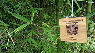 Informazioa ematen duen eta Wikipediarekin lotzen duen QR kode bat egurrezko oholtxo batean inprimatua, Donostiako Uliako parkean.