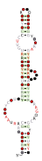 DUF3800-V Secondary structure taken from the Rfam database. Family RF02964