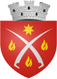 ROU BT Flamanzi CoA.svg