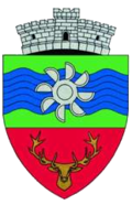 Wappen von Văliug