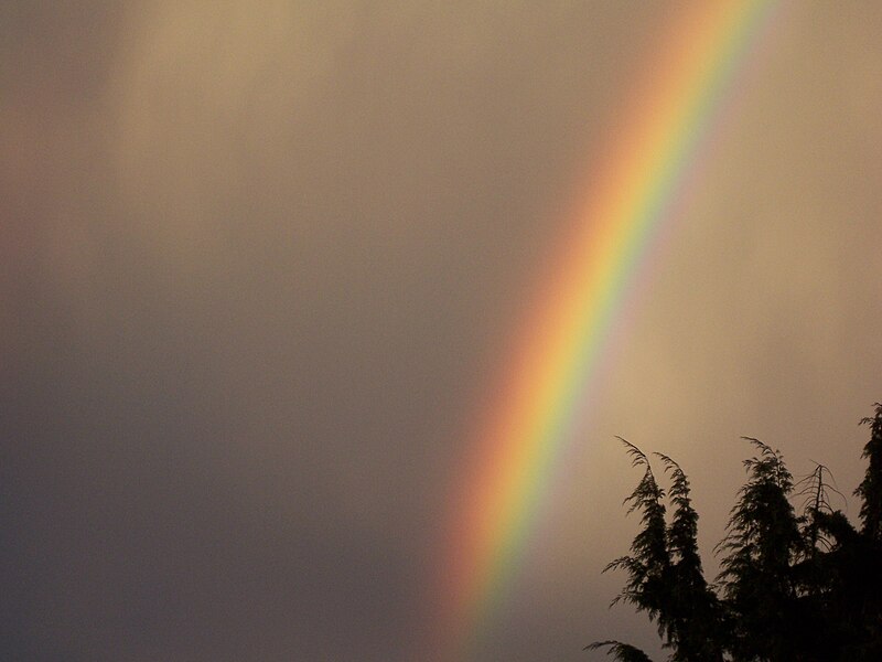 File:Rainbow up close.jpg