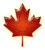 the maple leaf award/Awarded to Miesianiacal for his contributions to Canadian articles/Buzzzsherman/09.09.29