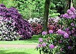 Miniatura Park różaneczników i ogród botaniczny w Bremie