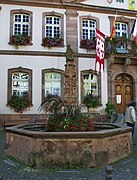 Fontaine place de l'Hôtel de ville (1536).