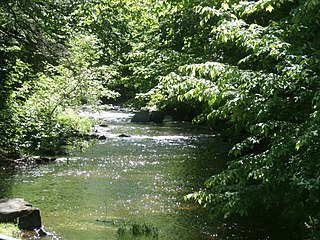 <span class="mw-page-title-main">Weedon Stream</span> River in Estrie, Quebec (Canada)