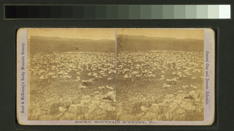 File:Rocky mountain scenery (NYPL b11708947-G92F130 008F).tiff