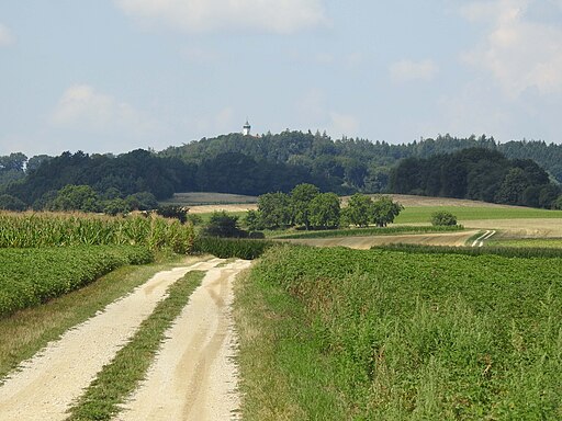 Rohrenfels, ND - Isenhofen südl Ri W - Weinberg m St Wolfgang v O 02