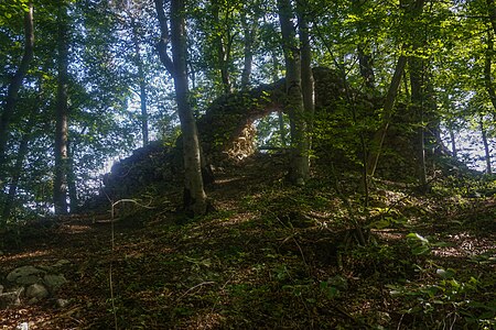 Ruine Châtillon 01