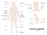 Миниатюра для Файл:Rumsen body parts.svg