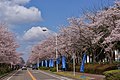 2017年3月29日 (水) 15:54時点における版のサムネイル