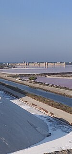 Salins d'Aigues-Mortes