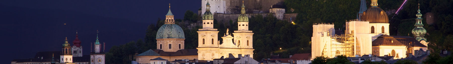 Salzburgi banner.jpg