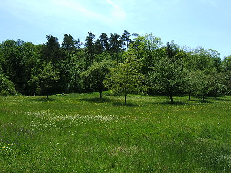 SchoenbuchStreuobstwiese