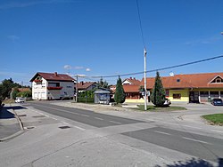 Selnica, centar