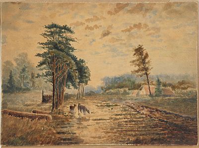 Tres cérvols prop del poble, 1897