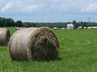 <span class="mw-page-title-main">Somerville, Virginia</span> Unincorporated community in Virginia, United States