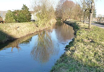 Speyerbach in Dudenhofen