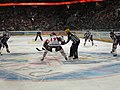 Adler Mannheim (blue shirts), March 2008