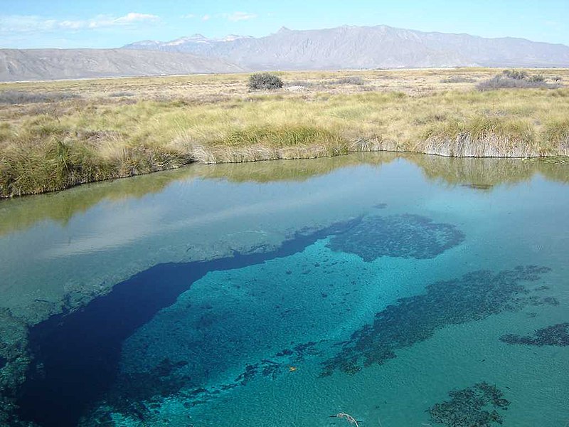 File:Spring Water coahuila MEXICO - panoramio.jpg