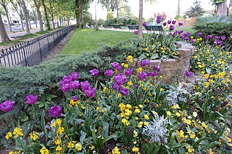 Massif floral.