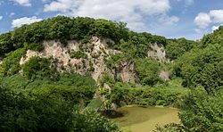 53. Platz: GreylanderPhotography Neu! mit Weilberg-Steinbruch im Naturschutzgebiet „Siebengebirge“ (NSG SU-001K2) in Königswinter, Deutschland – Das Siebengebirge, südöstlich gelegen von Bonn, ist ein Mittelgebirge vulkanischen Ursprungs mit mehr als 50 Bergen und Anhöhen. Mit einer Fläche von 4.272,9764 ha bleibt hier sowohl Tier- als auch Pflanzenwelt eine zum Teil vom Menschen unberührte Natur und Ruhezone erhalten, die zurecht unter strengsten Schutzregeln steht. Der Weilberg ist ein Naturdenkmal des Siebengebirges, an dessen Spitze ein stillgelegter Steinbruch einen direkten Einblick in den Gesteinsaufbau und somit in die ehemaligen vulkanischen Aktivitäten der Region ermöglicht. Das Gebiet ist weitgehend umzäunt und nur über zwei Aussichtsplattformen zu erreichen, da die Felsenklippe gerne von Vögeln als Niststätte genutzt wird und in Kombination mit Kleingewässern Lebensraum für diverse Flora und Fauna bietet. Am Weilberg wurde am 15. Oktober 1971 dem Siebengebirge das Europäische Diplom für geschützte Gebiete verliehen