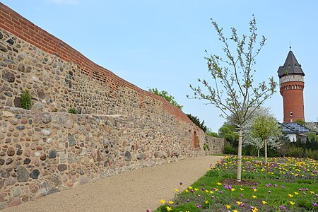Stadtmauer Weinberg Burg
