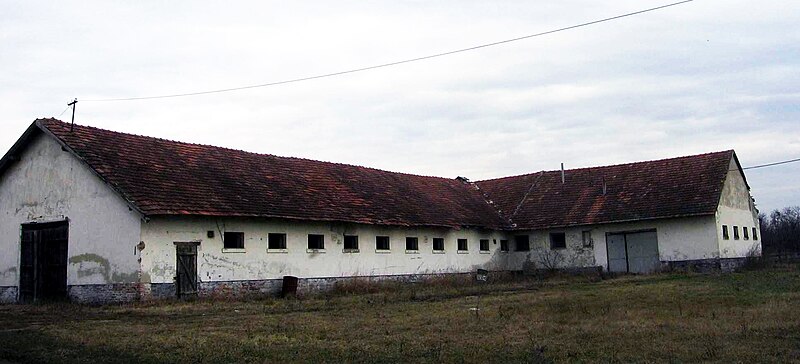 File:Stajicevo Livade-stables.jpg