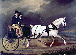 <span class="mw-page-title-main">Stanhope (carriage)</span>