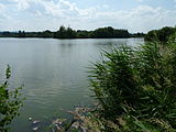 Čeština: Starohaklovský rybník mezi vesmi Haklovy Dvory a Nové Dvory, okres České Budějovice. English: Starohaklovský pond between the villages of Nové Dvory and Haklovy Dvory, České Budějovice District, South Bohemian Region, Czech Republic.