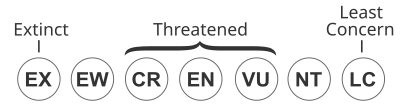 Conservation status


.mw-parser-output .legend{page-break-inside:avoid;break-inside:avoid-column}.mw-parser-output .legend-color{display:inline-block;min-width:1.25em;height:1.25em;line-height:1.25;margin:1px 0;text-align:center;border:1px solid black;background-color:transparent;color:black}.mw-parser-output .legend-text{}
Extinct in the wild (EW)
Critically endangered (CR)
Endangered (EN)
Vulnerable (VU)
Near threatened (NT)
Least concern (LC)
Data deficient (DD) Status iucn3.1 blank.svg