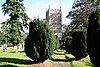 Stockleigh English, St Mary's church - geograph.org.uk - 255026.jpg