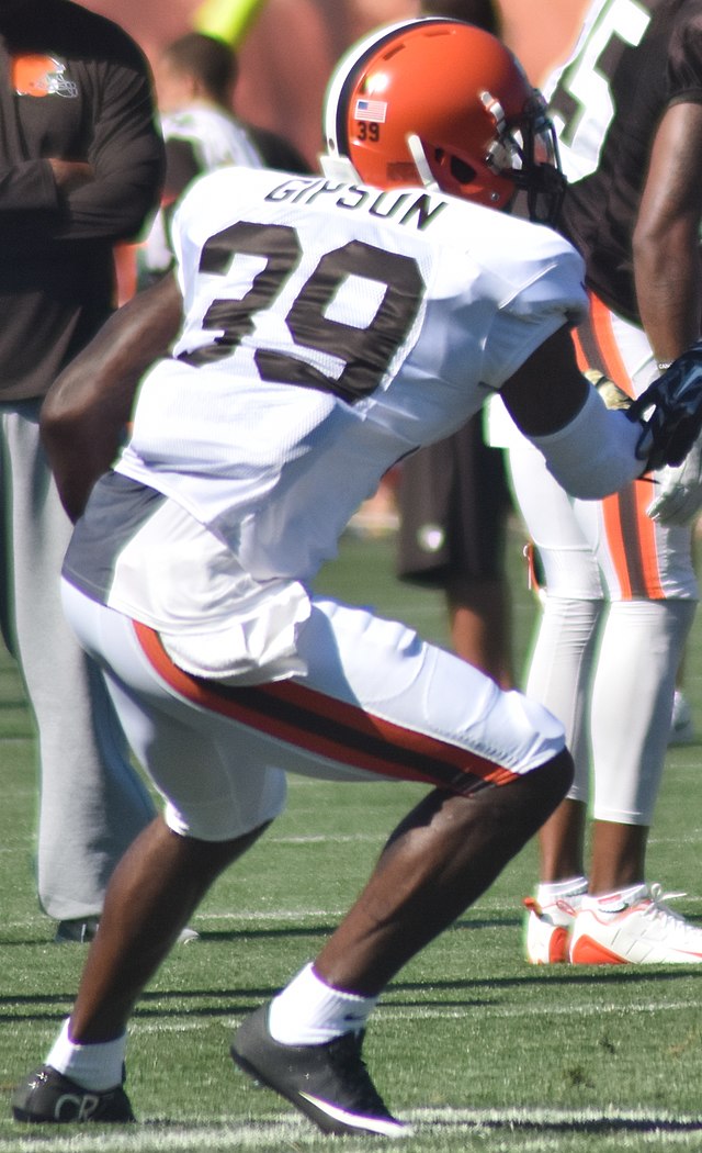 Tashaun Gipson: Stats & Injury News