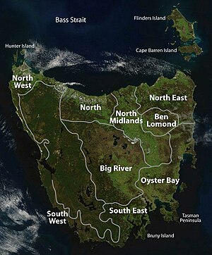 Tasmanian languages