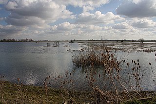 <span class="mw-page-title-main">Ouse Washes Landscape Partnership</span>