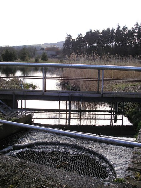 File:The Overflow from the Galashiels Sewage Works Lagoon - geograph.org.uk - 772696.jpg