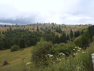 Tihuța pass