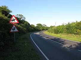 Titnore Lane - geograph.org.inggris - 1333857.jpg