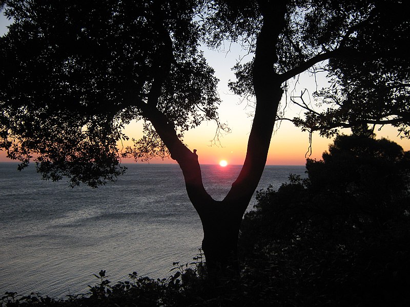 File:Tramonto sul Golfo di Trieste - panoramio.jpg