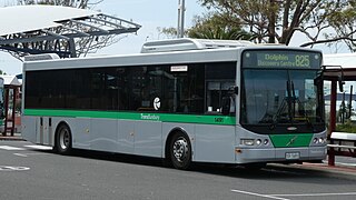 <span class="mw-page-title-main">TransBunbury</span> Australian public bus system