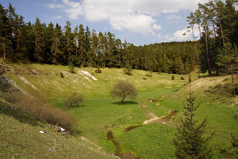 File:Trockental Leinleiter Heroldsmuehle Fraenkische-Schweiz.jpg