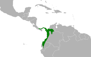Trogon chionurus map.svg
