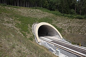 Tunnel Baumleite