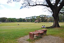 UP Diliman Sunken Garden in 2012.jpg