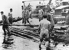 Seabees from C. Co 19th Naval Construction Battalion build a corduroy road from yellow beaches inland with their fellow Marines of the 17th Marines at Cape Gloucester.(USMC- photo 12203) USMC- photo 12203 CAPE GLOUCESTER.jpg